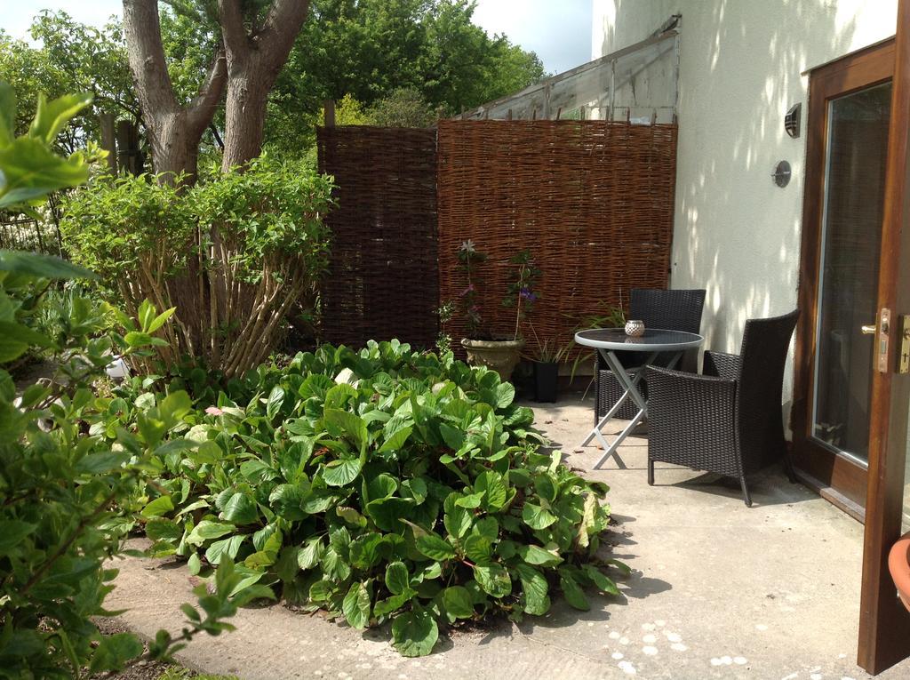 Beaconsfield Farm Apartment Wells Bagian luar foto